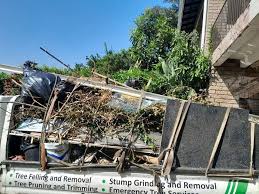 Best Dumpster Rental Services  in North Aurora, IL
